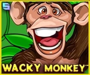 Wacky Monkey Wacky Monkey